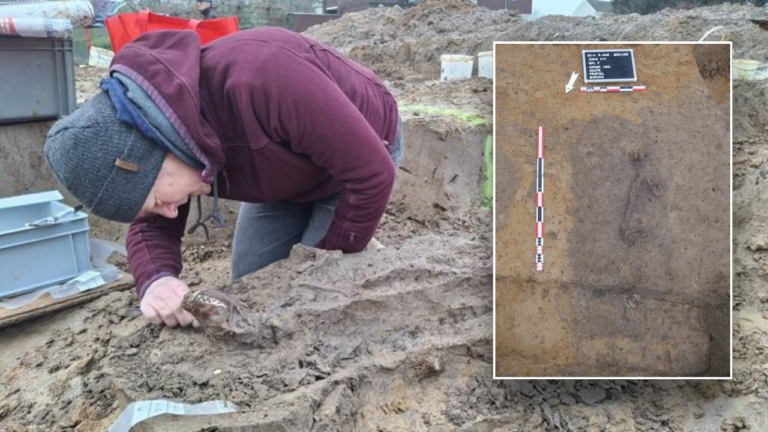 Archaeologists uncovered the remains of a well-preserved dog dating back to Roman times