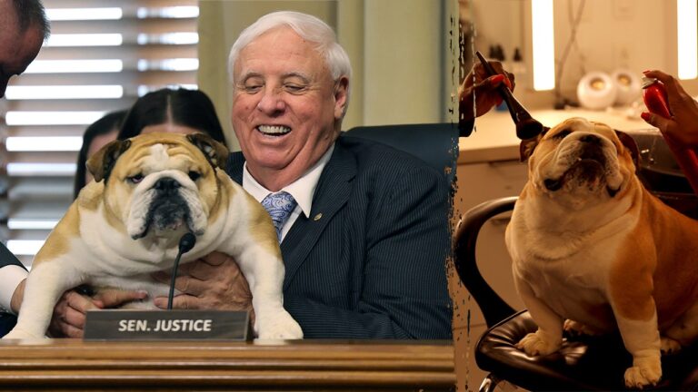 Sen. Jim Justice supports Trump’s energy EO in Senate appearance with viral star Babydog