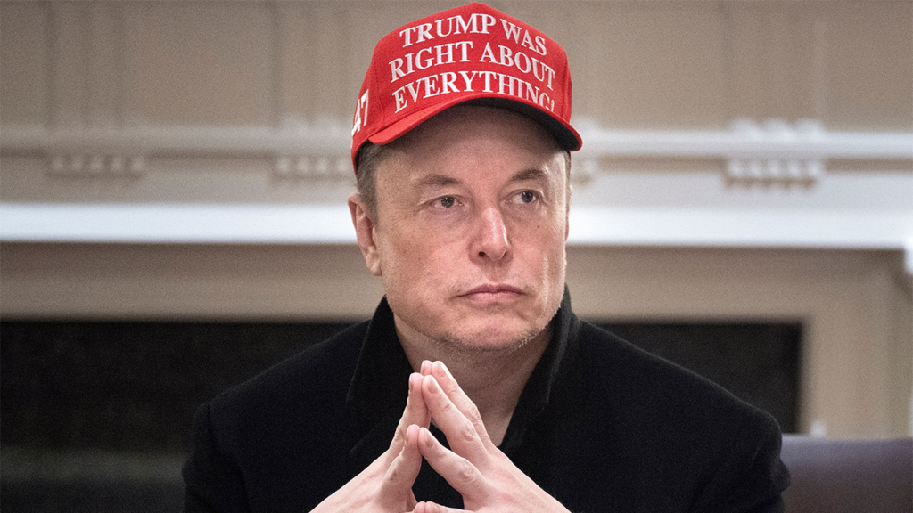 Musk says he wants free trade zone with Europe Musk says he wants free trade zone with Europe