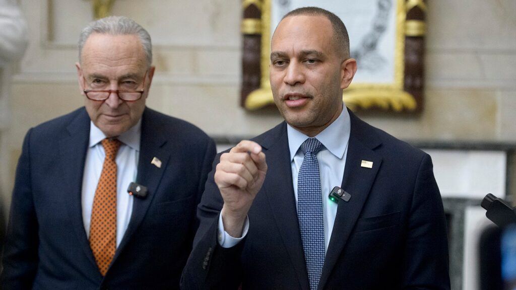 Congressional Democrats approval among younger Americans plunges: poll