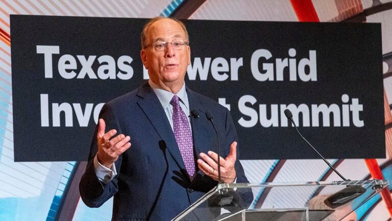 BlackRock CEO Fink’s letter to investors cuts DEI references