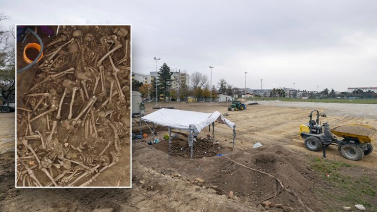 Archaeologists discover remains of Roman, Germanic warriors under soccer field