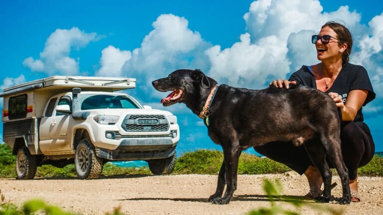 Woman sells house, travels the world with her dog after personal tragedy