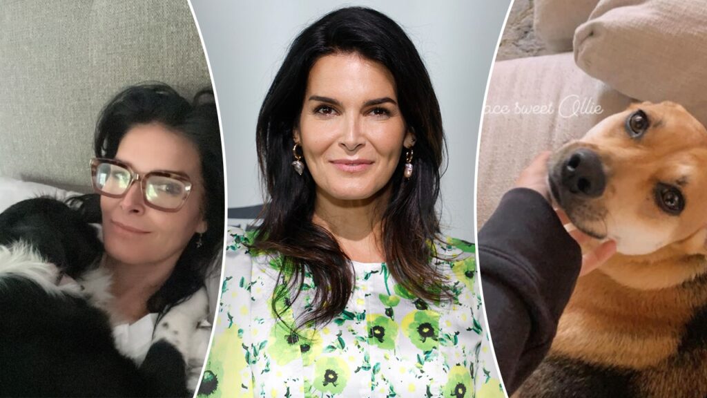 Angie Harmon was ‘saved’ by dog Lucy one year after her dog Oliver was killed Angie Harmon was ‘saved’ by dog Lucy one year after her dog Oliver was killed