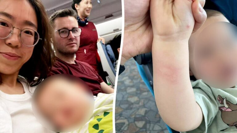 Airline banned family from flight over bug bites despite medical assurances