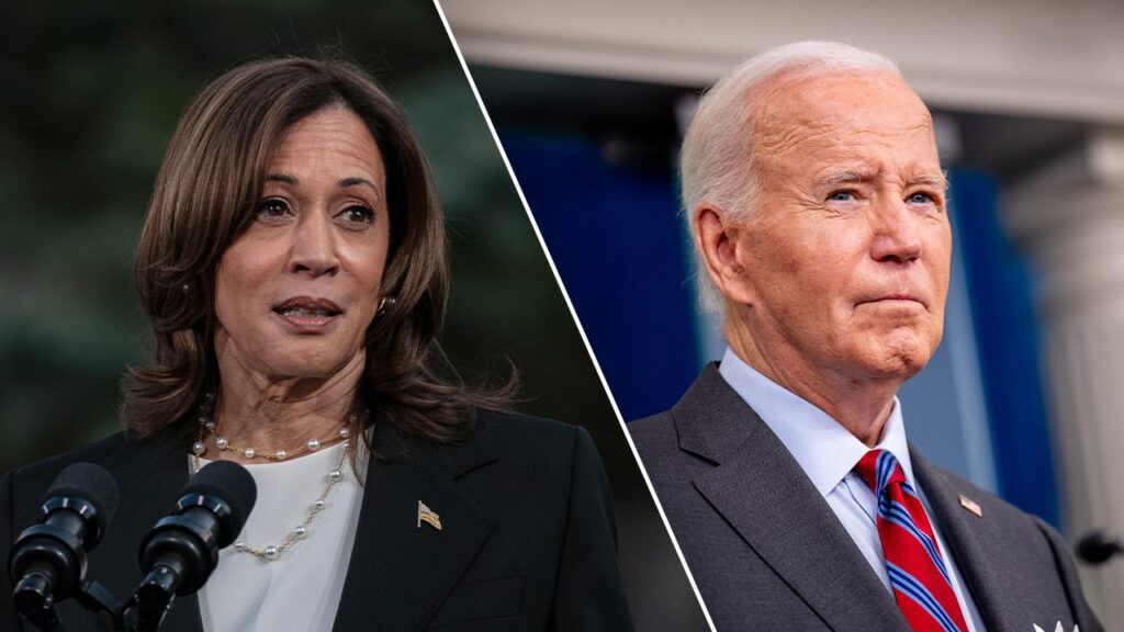 President Joe Biden’s 2024 run undercut Democrat party, top advisor says in new book