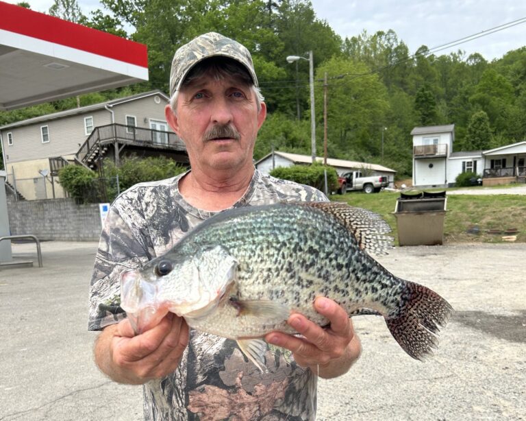 Black crappie fish record broken in West Virginia with 3.6-pound freshwater fish