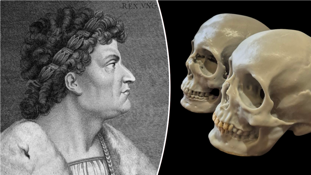 Expert says skull of Hungarian king Matthias Corvinus may have been uncovered