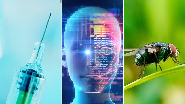 AI predicts biological age, plus flesh-eating insects pose health risk