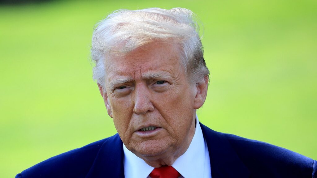 Trump suggests GOP should consider removing Democrats from Congress Trump suggests GOP should consider removing Democrats from Congress