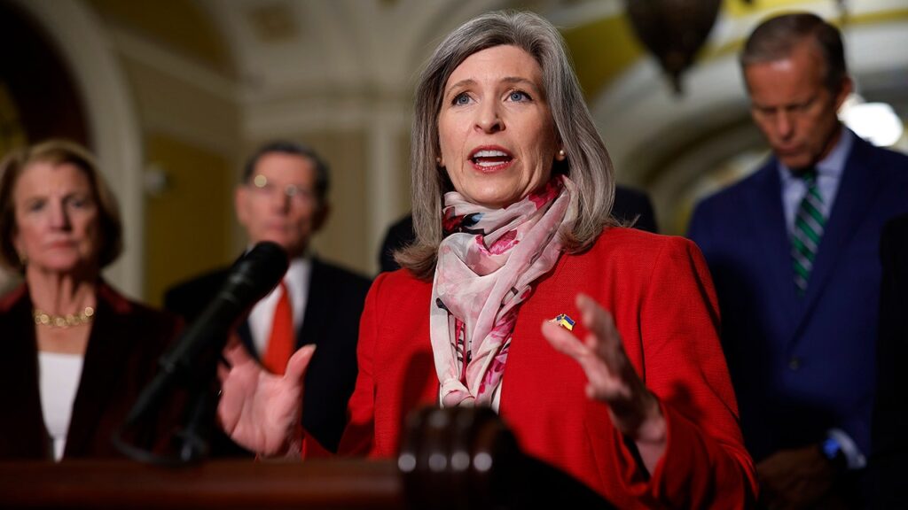 Republican senators roll out DOGE budget proposals for Trump bill