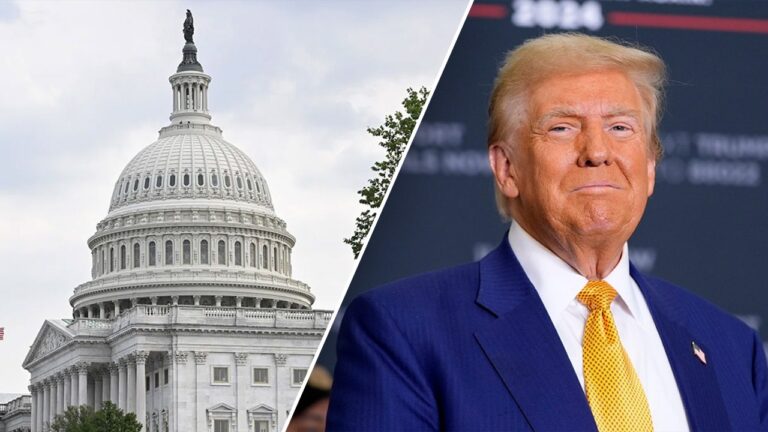 Trump’s .4 billion spending cuts package seen as ‘test’ for Congress