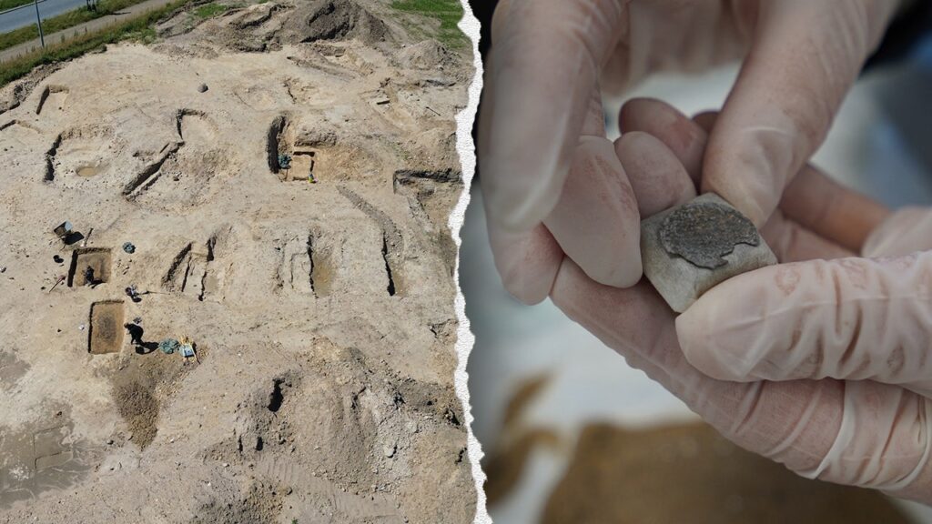 Burial site from Viking era containing elite family treasures discovered in Denmark Burial site from Viking era containing elite family treasures discovered in Denmark