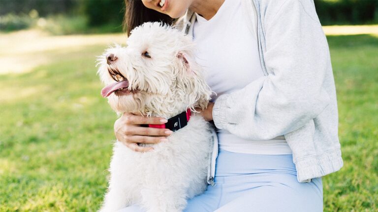 Fi launches world’s first AI dog collar that tracks health and location