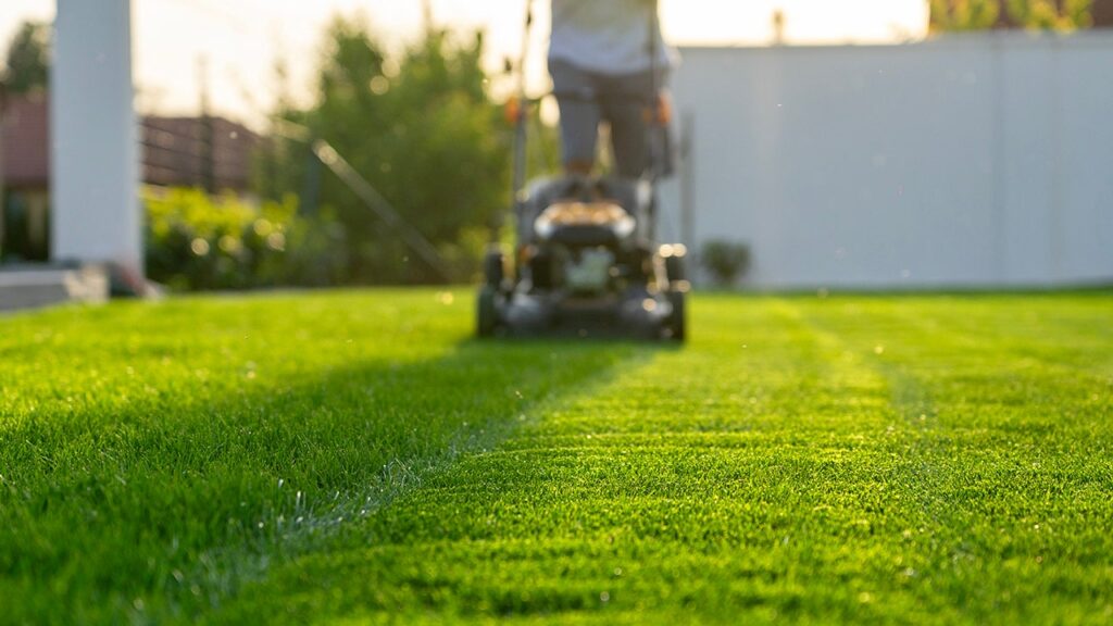 Skipping the lawn mower could boost physical and mental health, experts say Skipping the lawn mower could boost physical and mental health, experts say