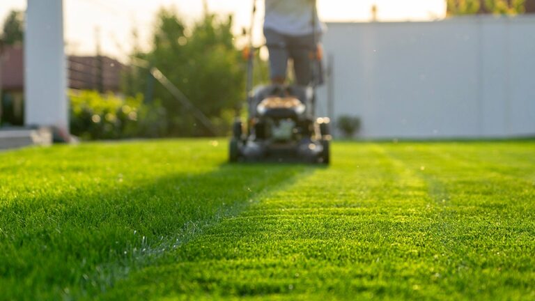 Skipping the lawn mower could boost physical and mental health, experts say