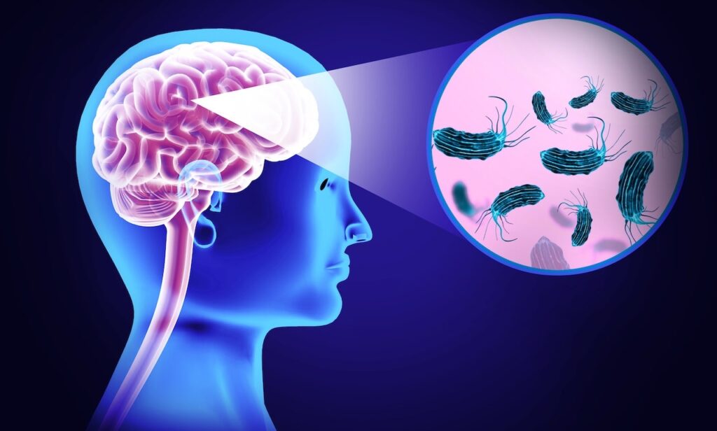 Texas woman dies from brain-eating amoeba after using nasal irrigation device Texas woman dies from brain-eating amoeba after using nasal irrigation device