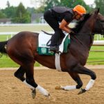 Sovereignty wins 157th Belmont Stakes, racing past Journalism for win
