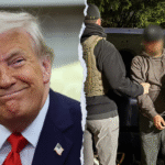 White House celebrating massive immigration wins: ‘Great day to be an American’