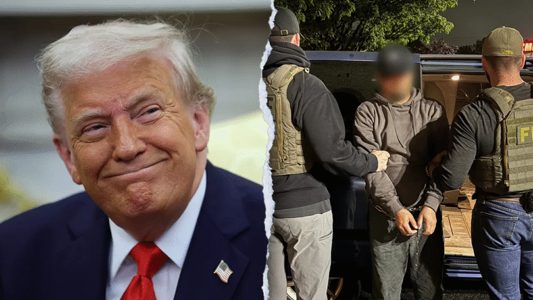 White House celebrating massive immigration wins: ‘Great day to be an American’