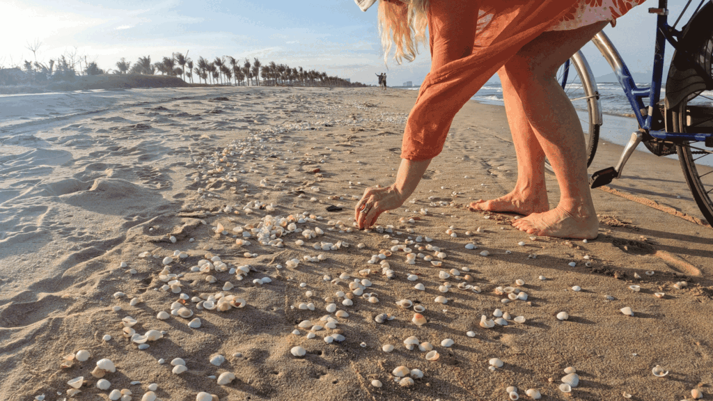 Shell of deadly snail that can cause paralysis picked up by beachgoer in Japan