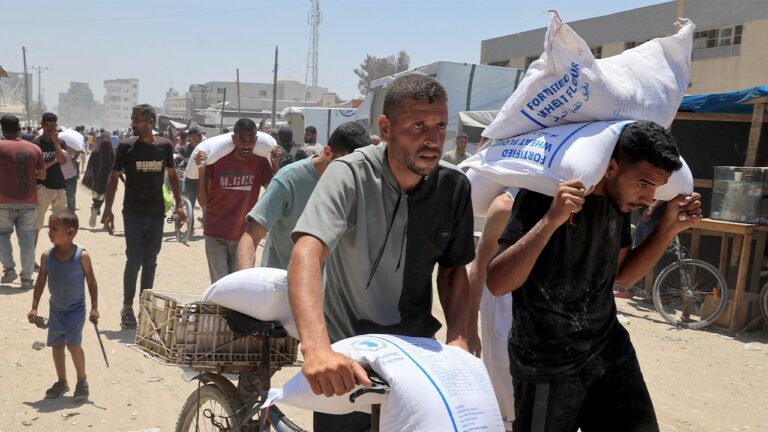 Israel: Thousands of Gaza aid pallets left undistributed as orgs decry crisis
