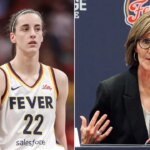 Indiana Fever president’s X account deleted after comments go viral