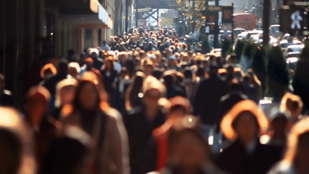 EPA investigates employees who allegedly signed letter using official titles