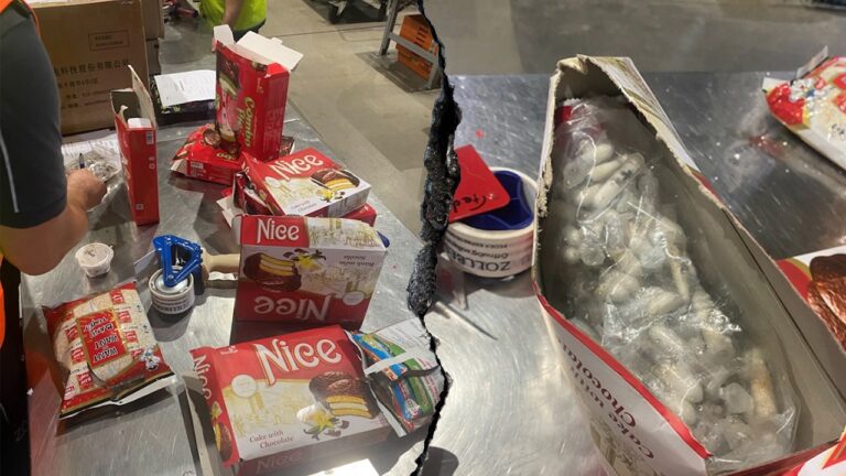 German customs officers find 1,500 tarantulas hidden in spongecake shipment