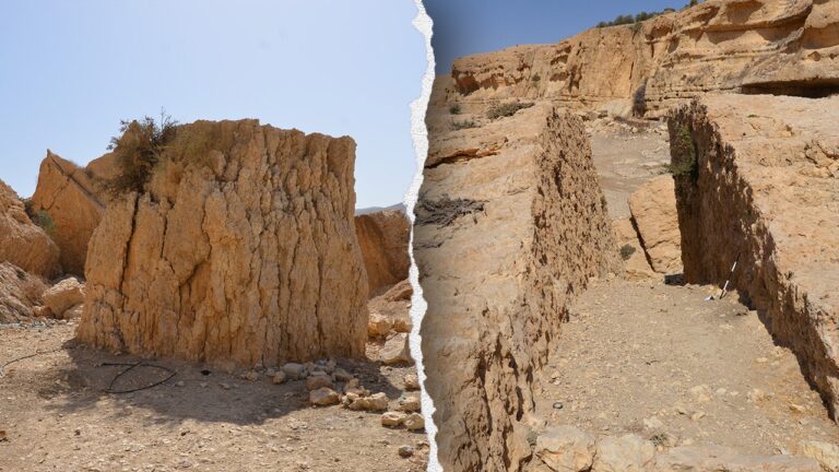 Archaeologist believed to have found a once-thriving ancient city in Jordan