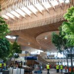America’s ‘best airport’ features therapy llamas and 1980s-inspired decor