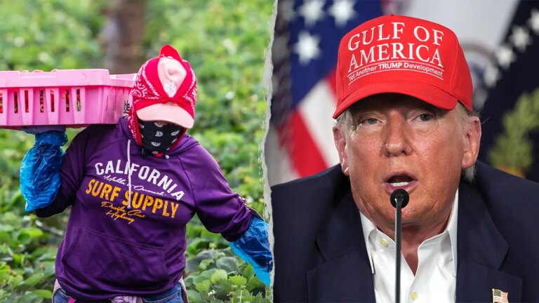 New Trump plan lets farmers vouch for illegal migrants to prevent deportation
