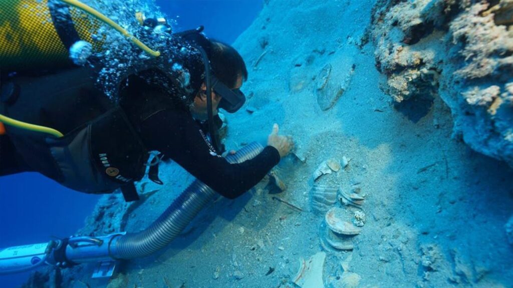 Ancient Turkish shipwreck yields remarkably preserved and ‘valuable’ plates and bowls