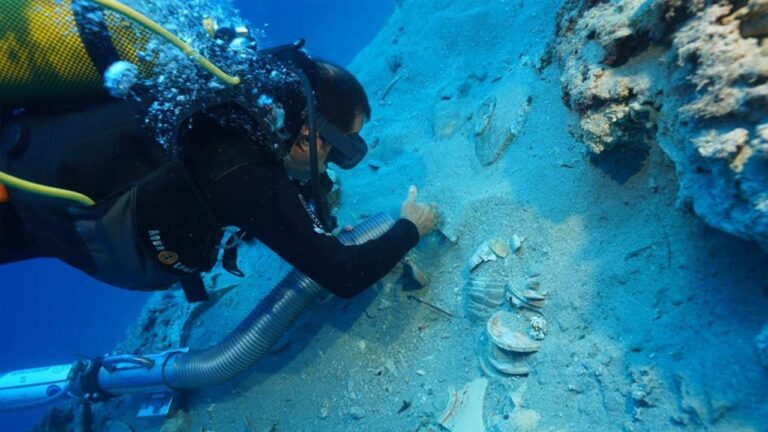 Ancient Turkish shipwreck yields remarkably preserved and ‘valuable’ plates and bowls