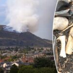 Mysterious bones found near landmark location in Edinburgh, Scotland, spark investigation