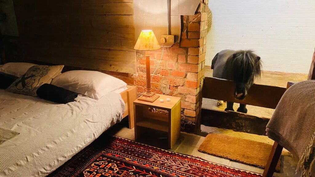 Unique Airbnb barn with miniature horse Basil costs 0 per night