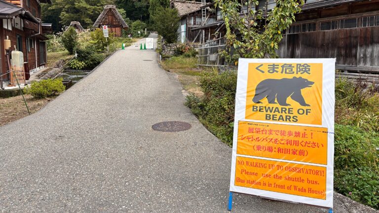 State Department warns Americans in Japan after deadly spike in bear attacks