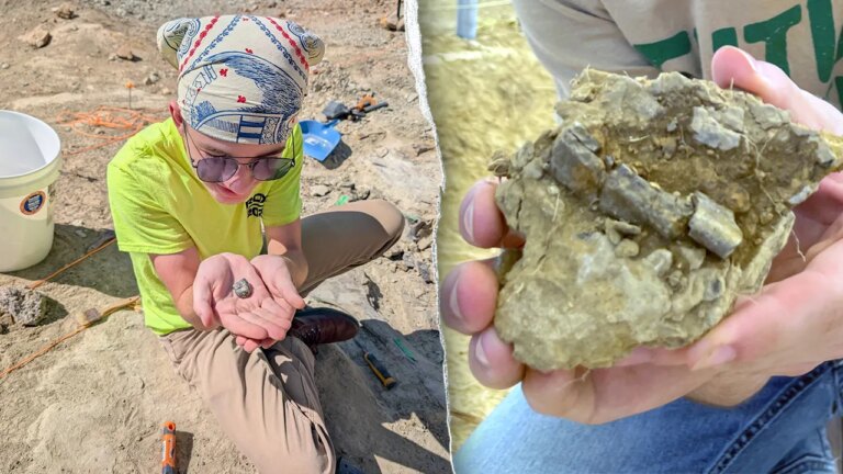 Connecticut high schooler finds 150-million-year-old fossil in Montana