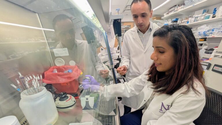 Scientists develop immune system breakthrough for pancreatic cancer