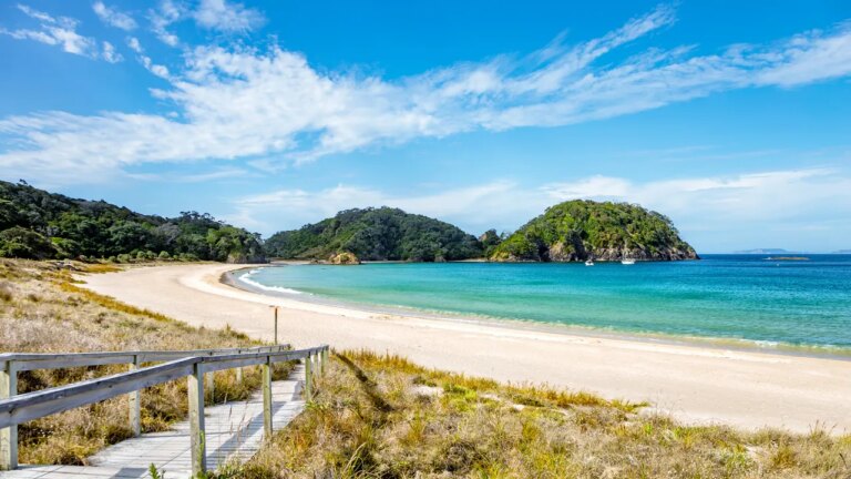 New Zealand relaxes its ‘golden’ visa rules, sees 72% surge in US applications