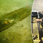 Wisconsin lake yields oldest dugout canoe found in Great Lakes region