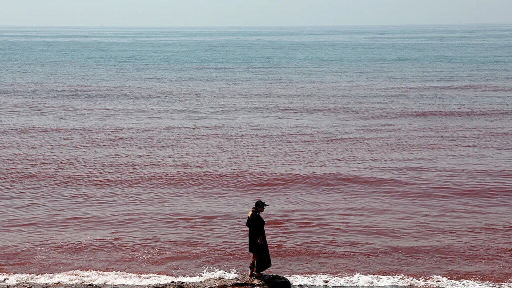 Viral video reveals how rain turns Hormuz Island landscape and ocean blood-red