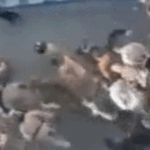 Trump addresses Iran protests amid economic collapse and currency crisis