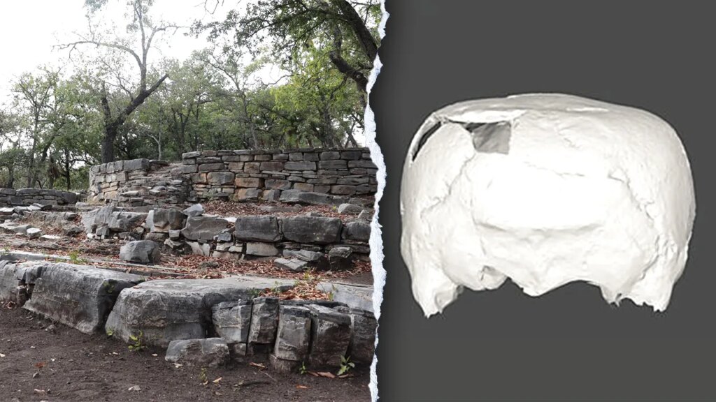 Cube-shaped skull, 1,400 years old, is found in Mexico archaeological discovery