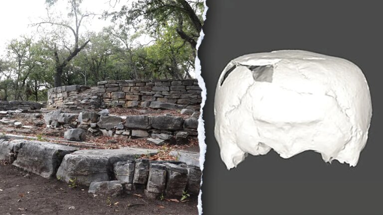 Cube-shaped skull, 1,400 years old, is found in Mexico archaeological discovery