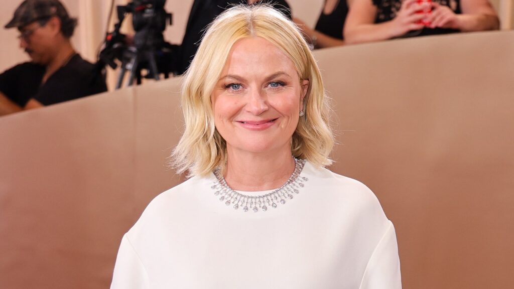 Comedian and Golden Globe winner Amy Poehler shared a tense passenger exchange on a flight