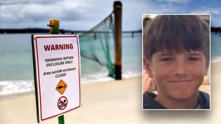 12-year-old boy dies after shark attack in Sydney Harbour waters