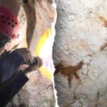 Human cave art from 68,000 years ago discovered in Indonesia among oldest ever