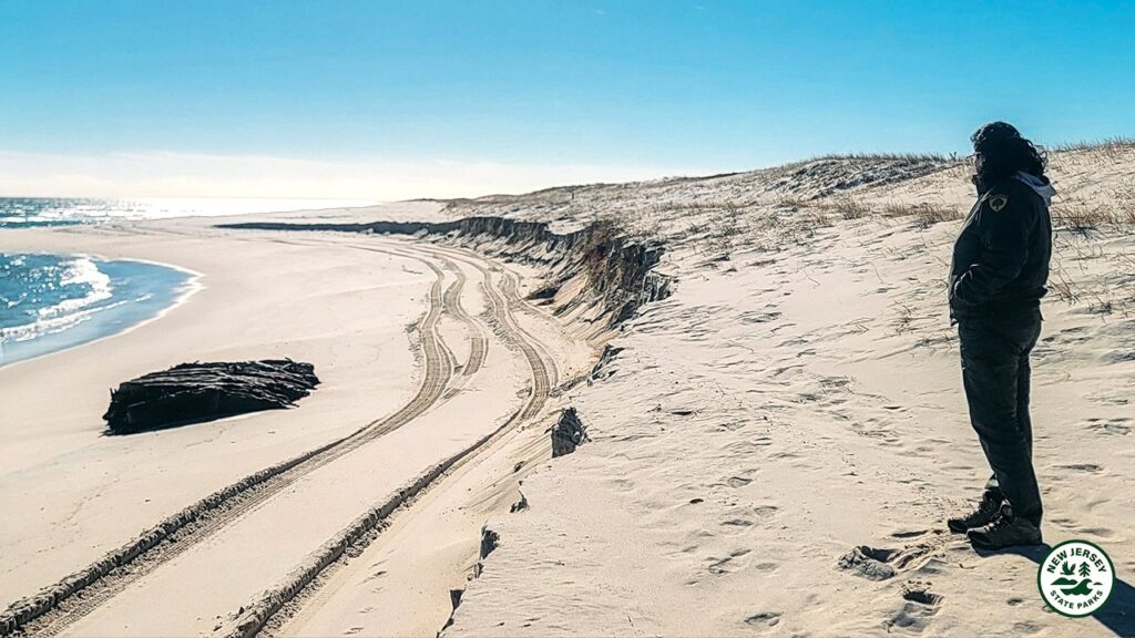 Shipwreck from 19th century emerges from New Jersey beach sands as officials issue warning